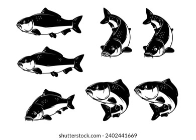 Illustration of carp fish in monochrome style. Carp fish  isolated on white background
