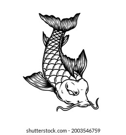 Illustration of carp koi. Design element for poster, card, banner, menu. Vector illustration