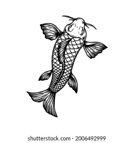 Illustration of carp koi. Design element for poster, card, banner, menu. Vector illustration
