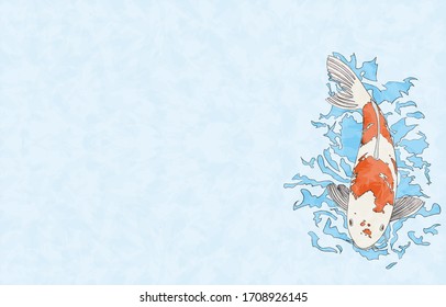 Illustration of carp swimming: with background, with lines