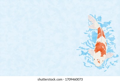 Illustration of carp swimming: with background, no line
