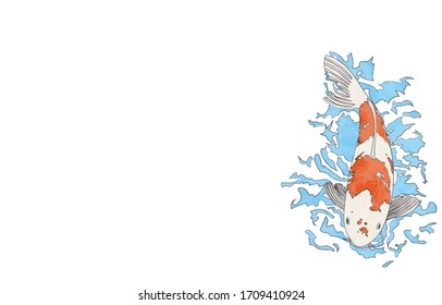 Carpe Koi Dessin Hd Stock Images Shutterstock