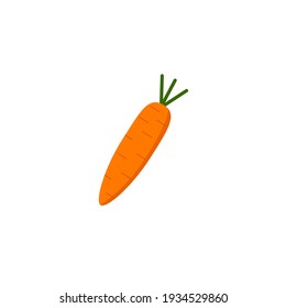 Illustration of carrot isolated. Flat design isolated vector. Flat carrot icon. Carrot for web, design, button, printing, decoration, receipt