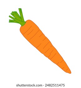 illustration carrot isolated on white background
