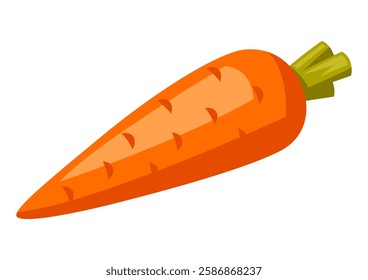 Illustration of carrot. Stylized food object for cooking recipe and menu.