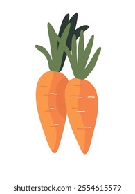Illustration of a carrot in vector style, with clean lines and bright colors on a white background