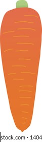 Illustration of the carrot, Vegetable
