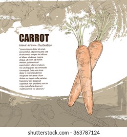 illustration of carrot, vegetables background