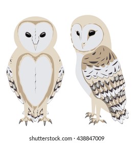 Barn Owl Cartoon Images Stock Photos Vectors Shutterstock