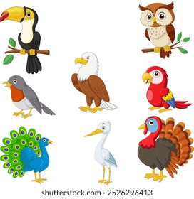 Illustration of cartoon bird collection set
