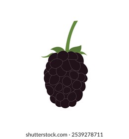 Illustration cartoon black berry unique design with blank background