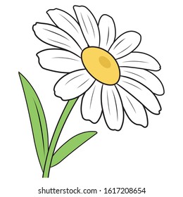 Illustration of a cartoon chamomile on a white background