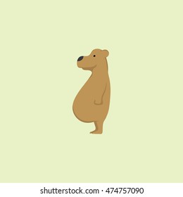 Illustration cartoon character bear