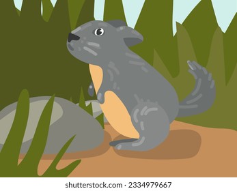 Illustration of a cartoon chinchilla in the grass. Illustration with a funny chinchilla. A gray chinchilla at its usual place of residence. Children's illustration, printing for children's books