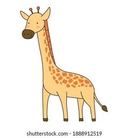 Illustration of cartoon cute Giraffe, eps 10 vector.