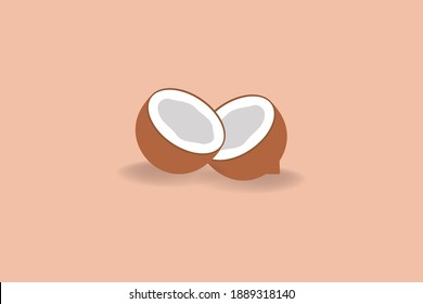 ilustración del estilo plano de dibujos animados rotos en dos piezas de coco en india, gente usada en pooja para ofrecer a dios. 
