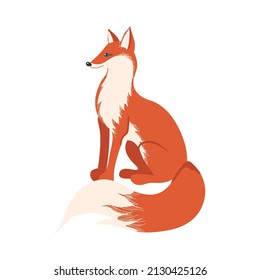 Illustration of a cartoon forest fox on a white background.