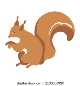 Illustration of a cartoon forest squirrel on a white background.