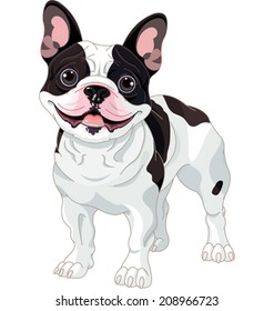 Illustration of cartoon French bulldog