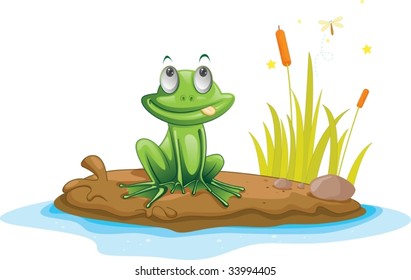 Illustration of  a cartoon frog on white