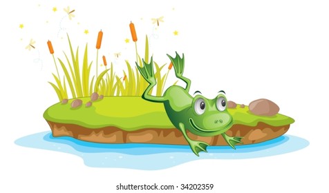 6,514 Pond Frog Jumping Images, Stock Photos & Vectors | Shutterstock