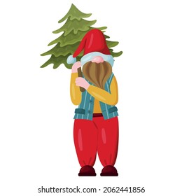 Illustration of a cartoon gnome in a bright colorful costume. A fabulous Christmas character carries a Christmas tree. Vector.