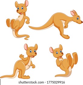 Illustration of cartoon kangaroo collection set