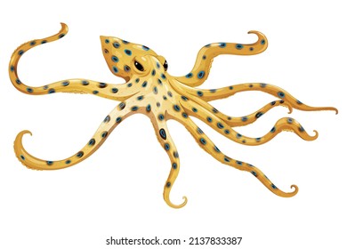 Illustration of cartoon octopus, version eps 10, vector