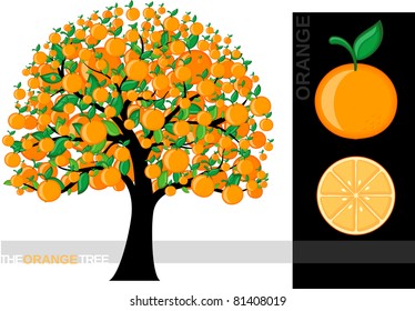 Orange Tree Drawing Images Stock Photos Vectors Shutterstock