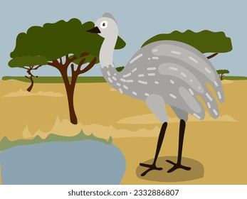 Illustration of cartoon ostrich emu in the safari, desert. Savannah with a funny ostrich. Emu is near the watering hole. Children's illustration, printing for children's books