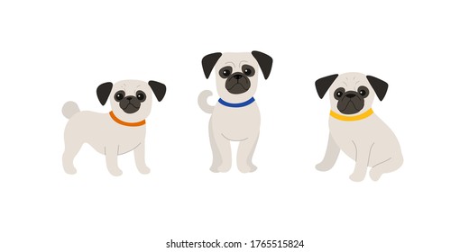 Illustration of cartoon pugs. Cute dog characters. Vector illustration in cartoon style for poster, postcard.