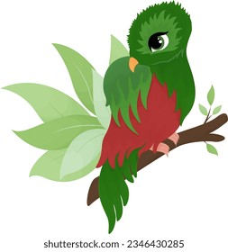 illustration of cartoon Quetzal  , cartoon drawing, vector animal