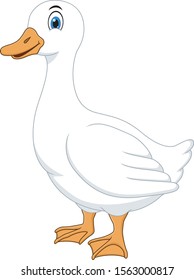 Illustration of cartoon white duck on white background