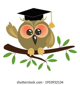 Illustration of a cartoon wise owl with graduation cap presenting. Vector isolated design on white background.