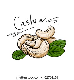 Illustration Cashew
