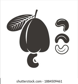 illustration of cashew fruit, cashew icon.