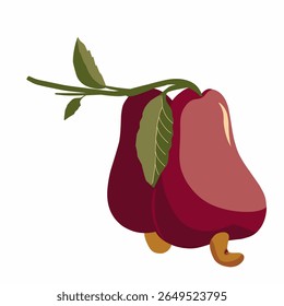 illustration of a cashew fruit,vector cashew fruit with leaves,hand drawn cashew fruit