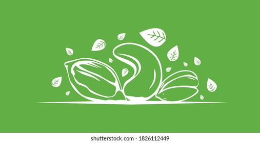 Illustration of cashew nuts, crops and cocoa seeds, and the leaves around them.