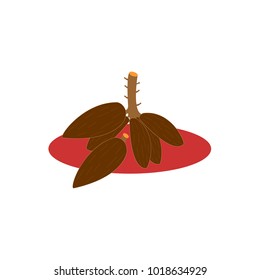 illustration of cassava