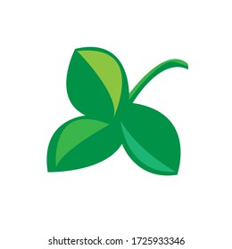 Illustration of cassava leaves, isolated vector