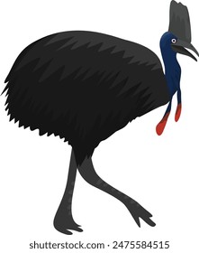 illustration of a cassowary, a rare bird from Indonesia