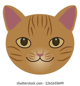 Illustration of the cat