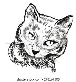 Illustration of cat