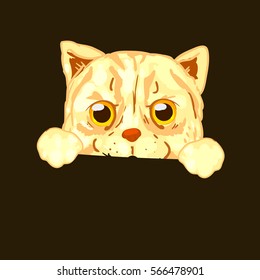illustration Cat