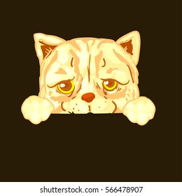 illustration Cat