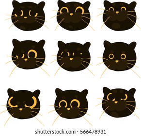 illustration Cat