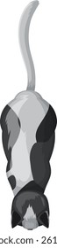 Illustration of a cat from above, black and white