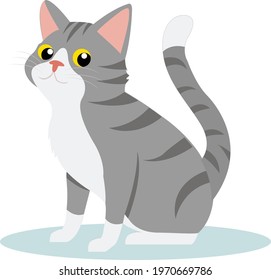 Illustration cat With Cartoon Style Funny Animal.