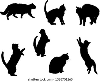 illustration with cat collection isolated on white background