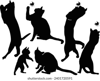 illustration with cat collection isolated on white background